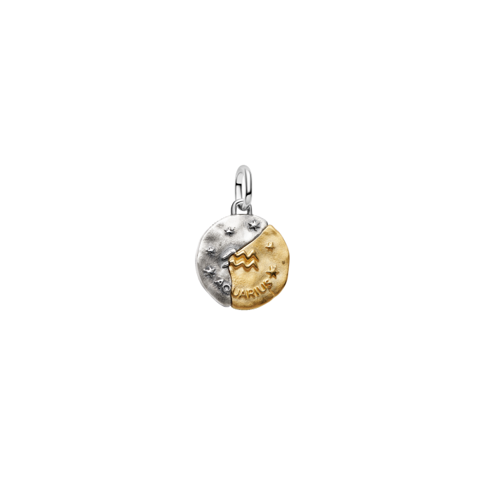 Conta Medalhão Zodíaco Aquário