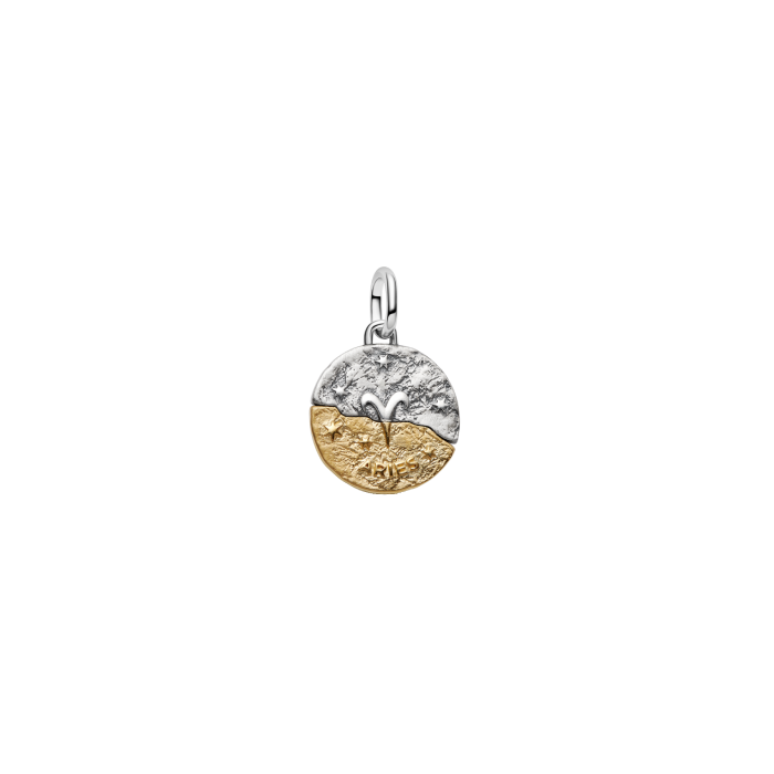 Conta Medalhão Zodíaco Carneiro