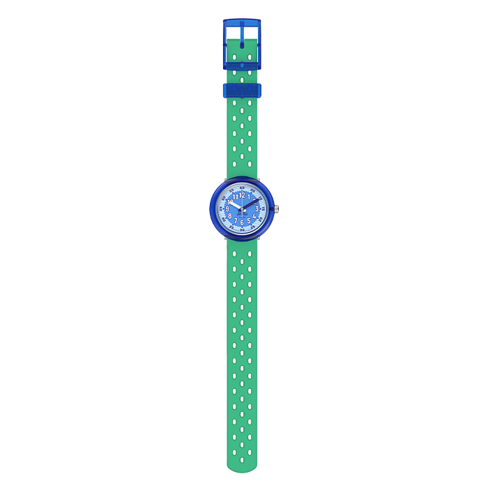 ZFCNP006