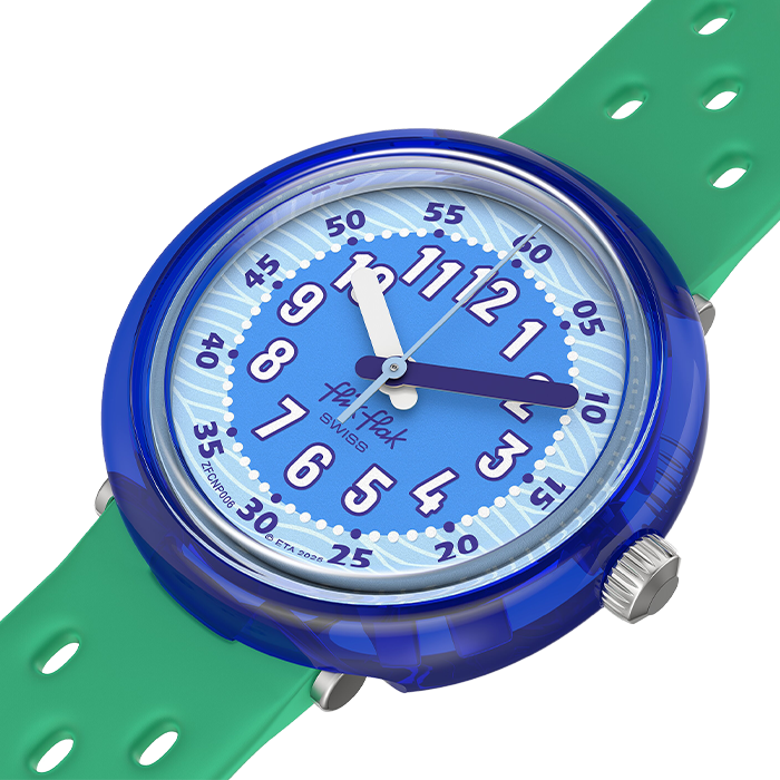 ZFCNP006