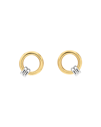 Brincos Senhora em A&ccedil;o e Dourado