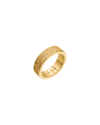 Anel Senhora Dourado