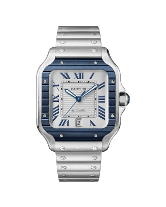 REL&Oacute;GIO SANTOS DE CARTIER