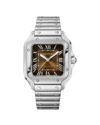 Rel&oacute;gio Santos de Cartier