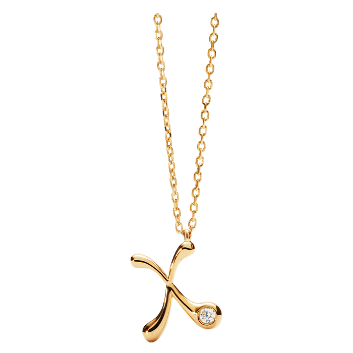 Foto principal do produto