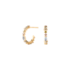 AR01-C77-U