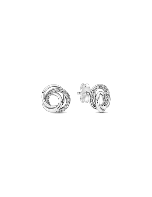 291076C01