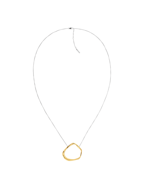 Colar Senhora em Aço e Dourado