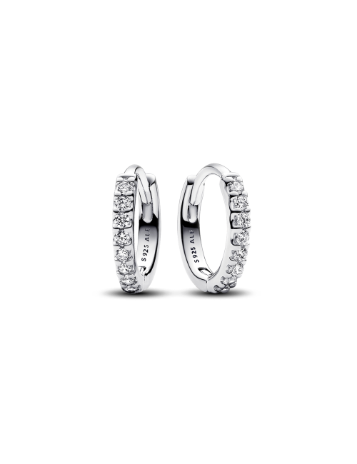 293015C01