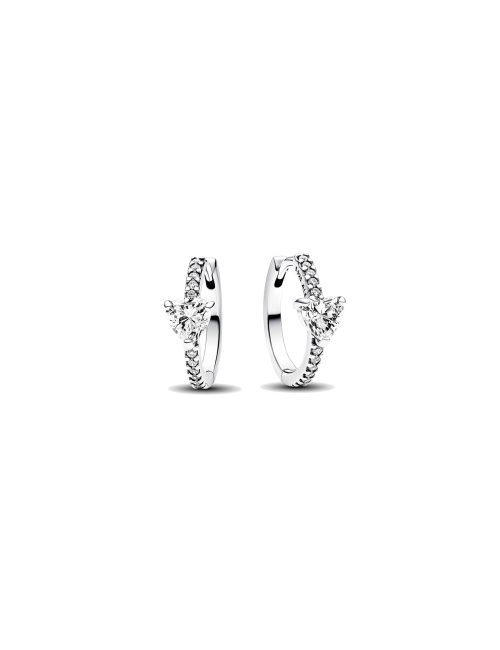 293101C01