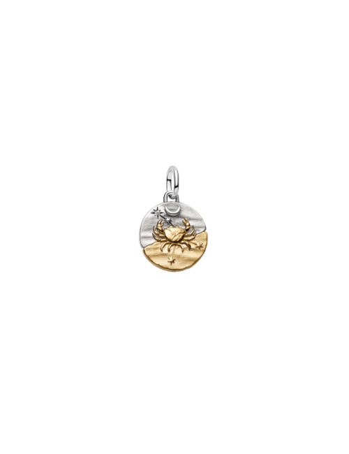 Conta Medalhão Zodíaco Caranguejo