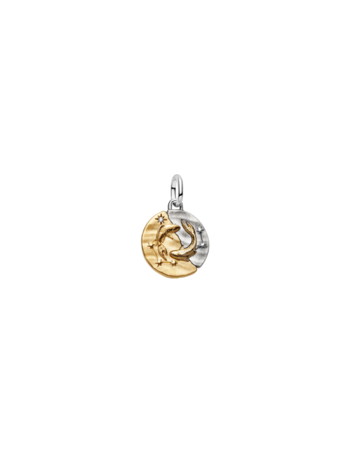 Conta Medalhão Zodíaco Peixes