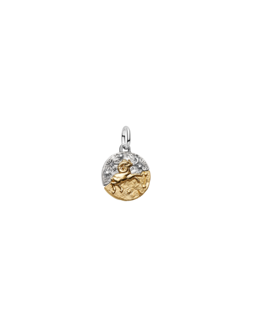 Conta Medalhão Zodíaco Carneiro