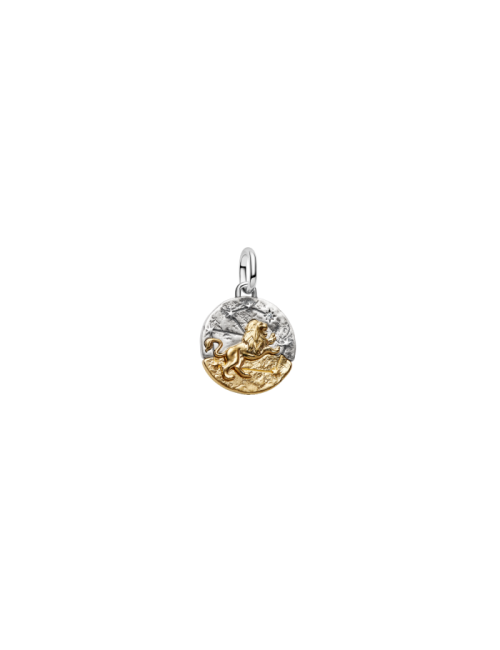 Conta Medalhão Zodíaco Leão