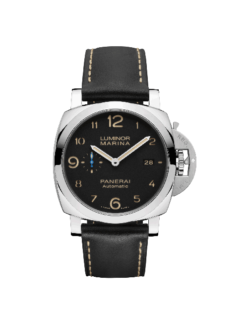 PAM01359