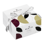 E2527GPBBGP.BOX1