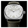 PAM01384