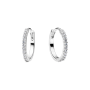 294649C01