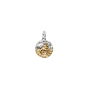 Conta Medalhão Zodíaco Capricórnio