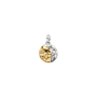 Conta Medalhão Zodíaco Aquário