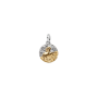 Conta Medalhão Zodíaco Carneiro