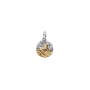 Conta Medalhão Zodíaco Leão