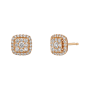 RKBORDI106