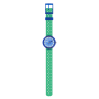 ZFCNP006