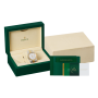 Relógio Rolex Sky-Dweller Data image 4