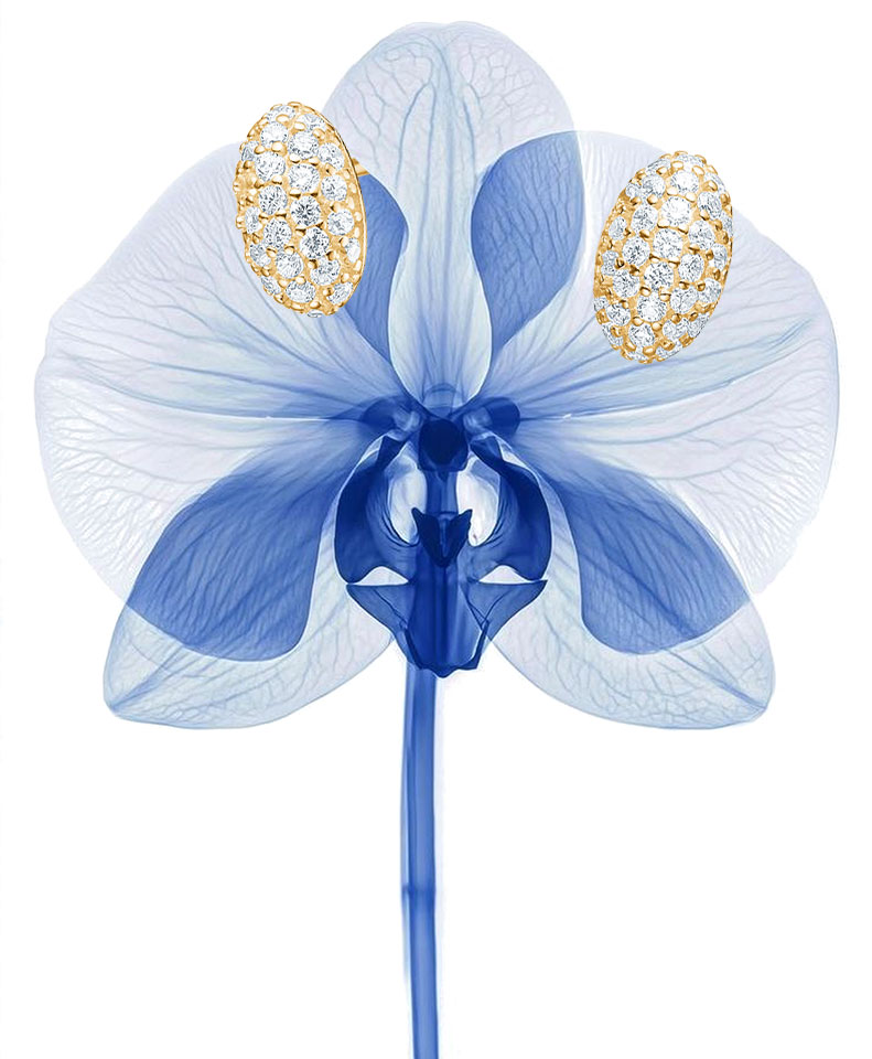 JOIAS MULHER JOANLI NOR