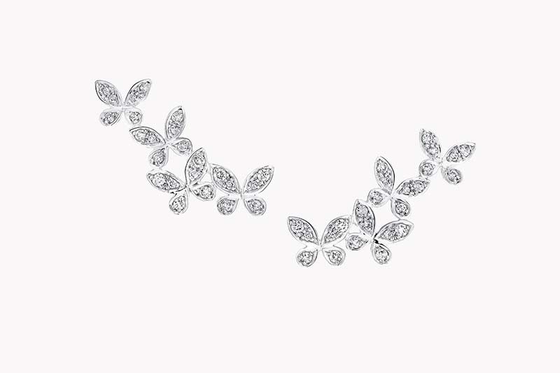 GRAFF - BUTTERFLY DREAM