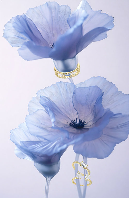 JOANLI NOR Dia da M&atilde;e