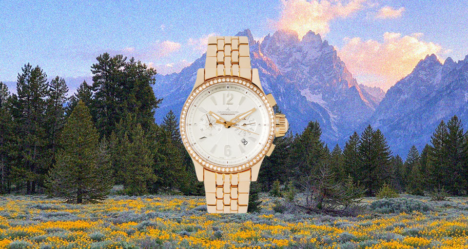 Rel&oacute;gios pre owned