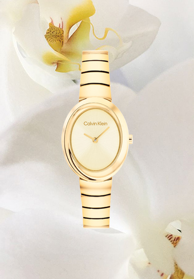 Rel&oacute;gios calvin klein