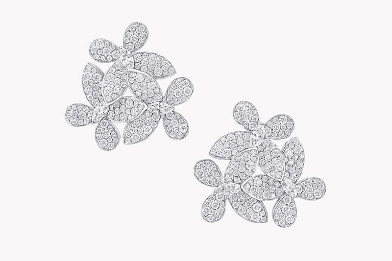 GRAFF - BUTTERFLY DREAM