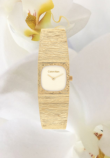 Rel&oacute;gios calvin klein