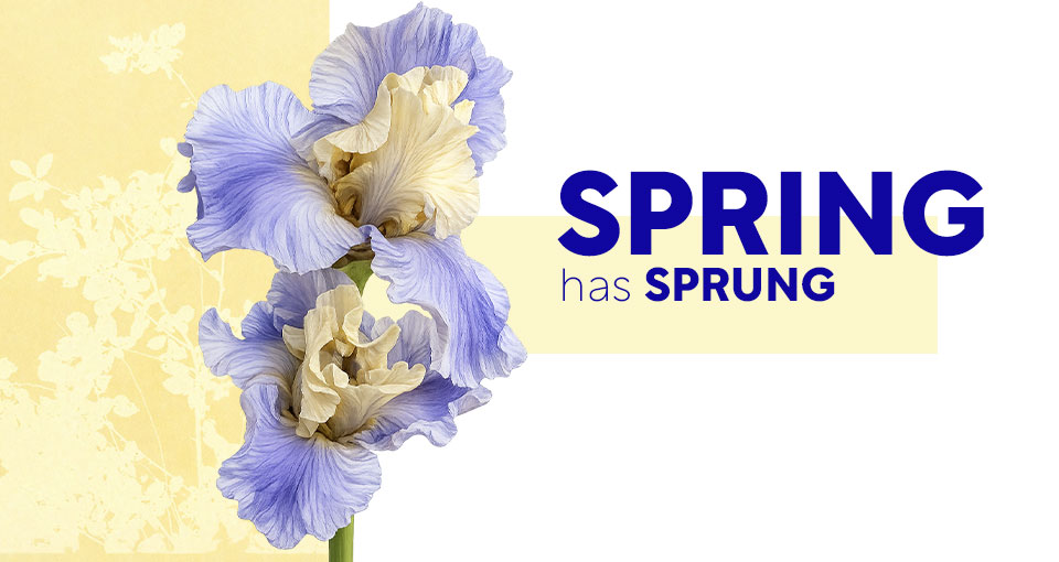 Rel&oacute;gios e Joias primavera