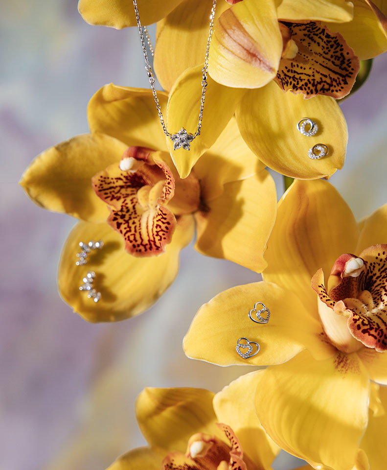 Dia da M&atilde;e Joias