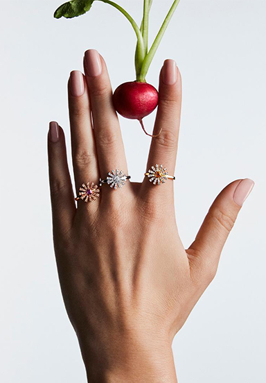 damiani